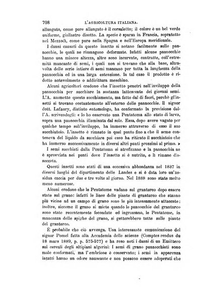 L'agricoltura italiana periodico mensile