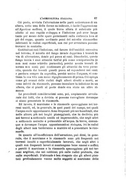 L'agricoltura italiana periodico mensile