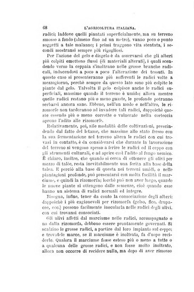 L'agricoltura italiana periodico mensile