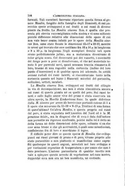 L'agricoltura italiana periodico mensile