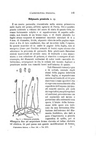 L'agricoltura italiana periodico mensile