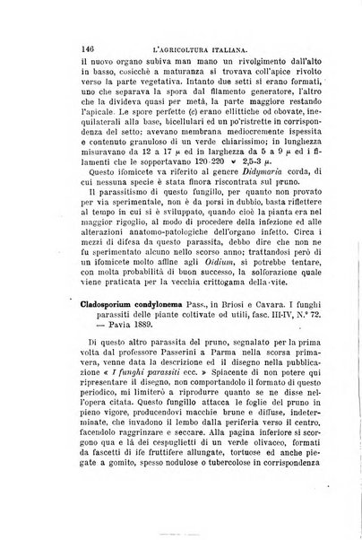 L'agricoltura italiana periodico mensile