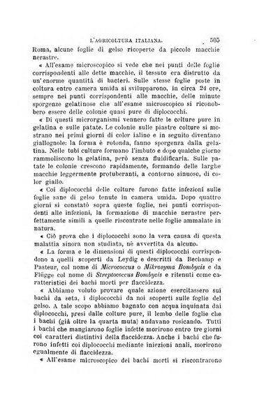 L'agricoltura italiana periodico mensile