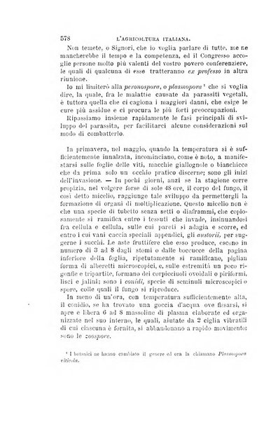 L'agricoltura italiana periodico mensile