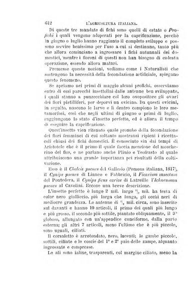 L'agricoltura italiana periodico mensile