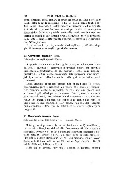 L'agricoltura italiana periodico mensile