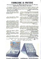 giornale/CFI0100923/1891/unico/00000216
