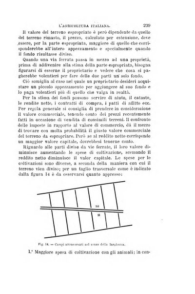 L'agricoltura italiana periodico mensile