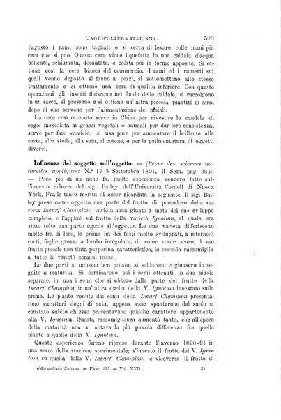 L'agricoltura italiana periodico mensile