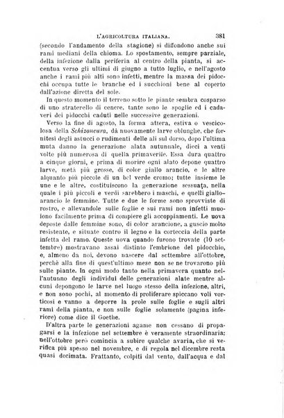 L'agricoltura italiana periodico mensile