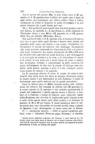 L'agricoltura italiana periodico mensile