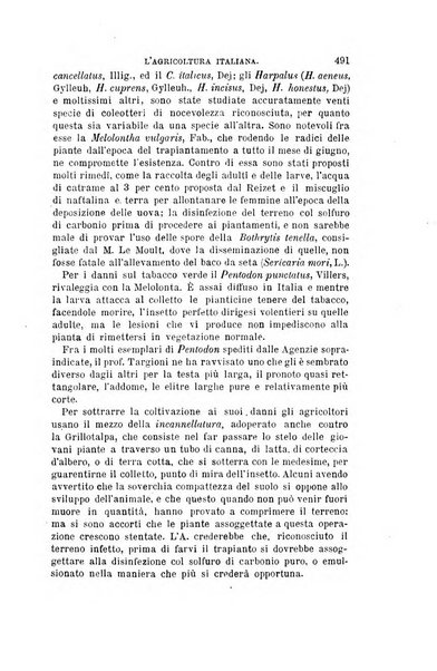 L'agricoltura italiana periodico mensile