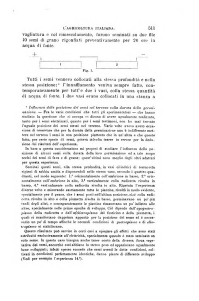 L'agricoltura italiana periodico mensile