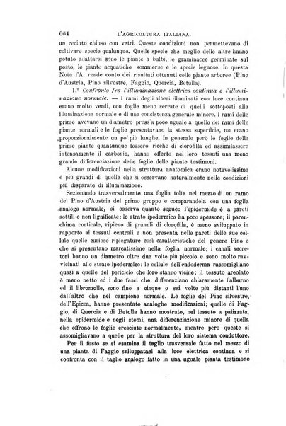 L'agricoltura italiana periodico mensile