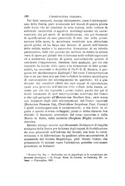 L'agricoltura italiana periodico mensile