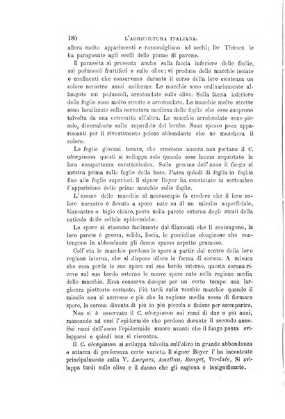 L'agricoltura italiana periodico mensile