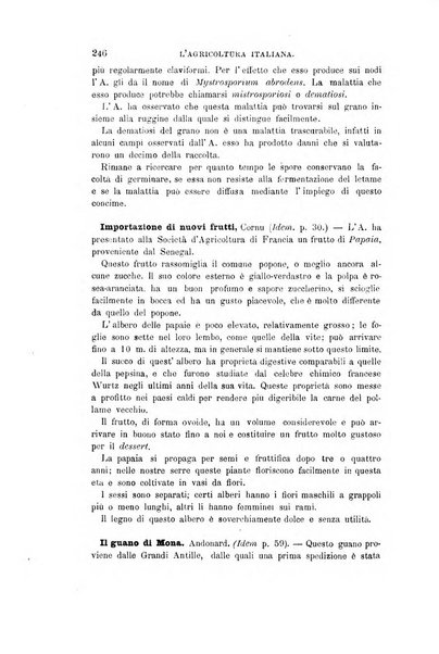 L'agricoltura italiana periodico mensile