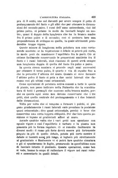 L'agricoltura italiana periodico mensile