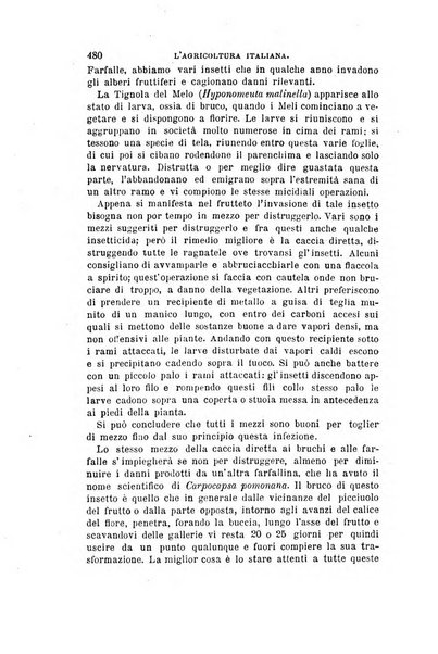 L'agricoltura italiana periodico mensile