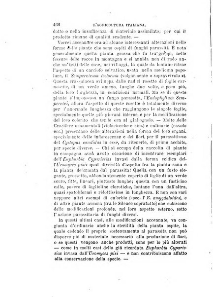 L'agricoltura italiana periodico mensile