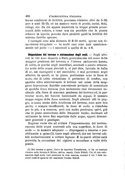 L'agricoltura italiana periodico mensile