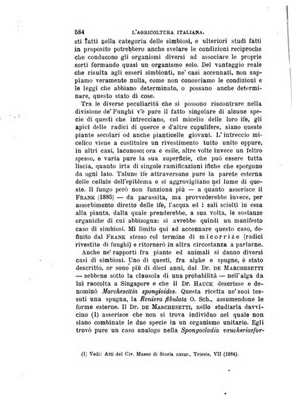 L'agricoltura italiana periodico mensile