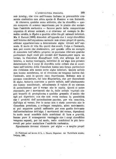 L'agricoltura italiana periodico mensile