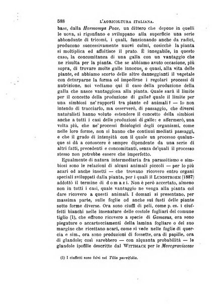 L'agricoltura italiana periodico mensile