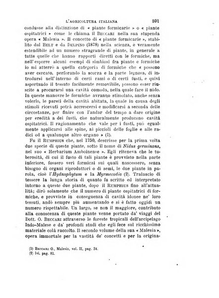 L'agricoltura italiana periodico mensile