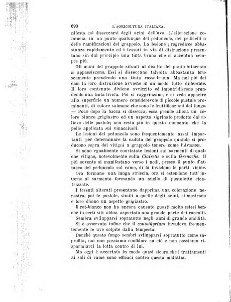 L'agricoltura italiana periodico mensile