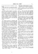 giornale/CFI0168683/1944/unico/00000025