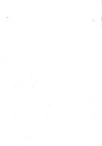 giornale/CFI0297408/1895/unico/00000004