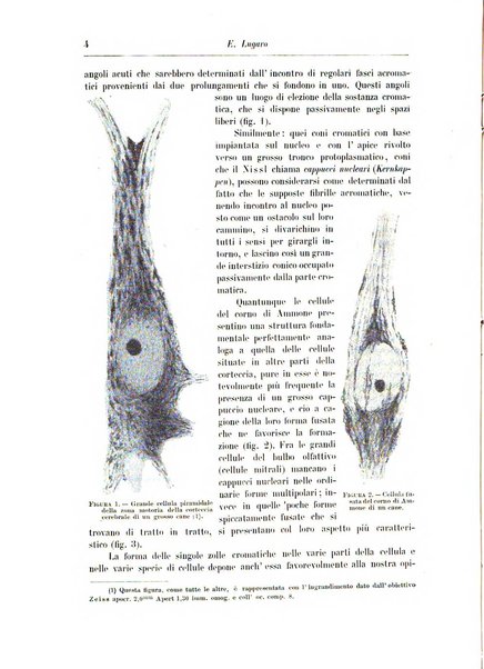 Rivista di patologia nervosa e mentale