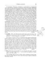 giornale/CFI0298588/1896/unico/00000031