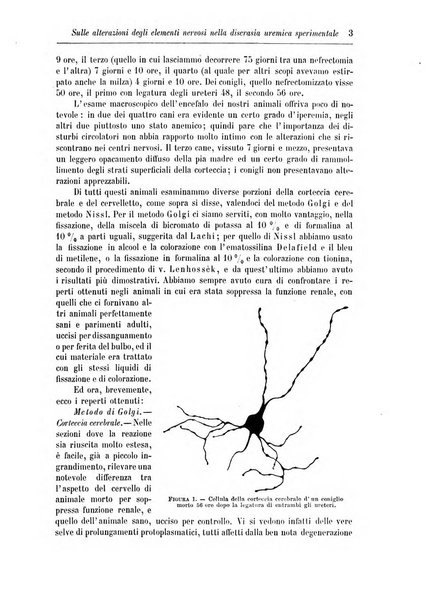 Rivista di patologia nervosa e mentale