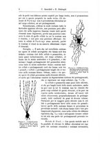 giornale/CFI0298588/1897/unico/00000016