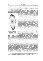 giornale/CFI0298588/1897/unico/00000068