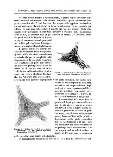 Rivista di patologia nervosa e mentale