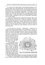 giornale/CFI0298588/1897/unico/00000071