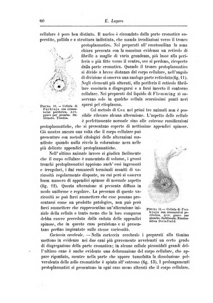 Rivista di patologia nervosa e mentale