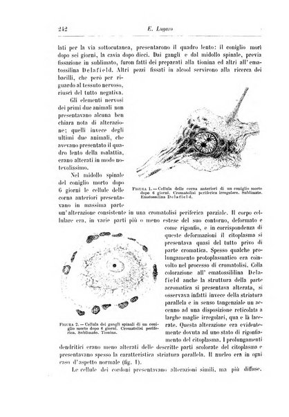 Rivista di patologia nervosa e mentale