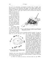 giornale/CFI0298588/1897/unico/00000274