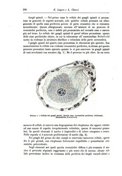 Rivista di patologia nervosa e mentale