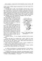 giornale/CFI0298588/1897/unico/00000543