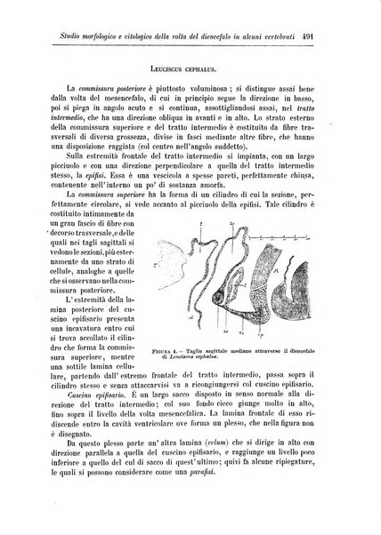 Rivista di patologia nervosa e mentale