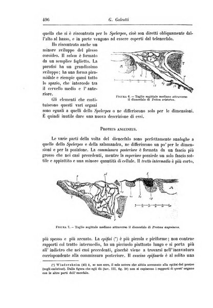 Rivista di patologia nervosa e mentale