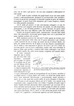 giornale/CFI0298588/1897/unico/00000556