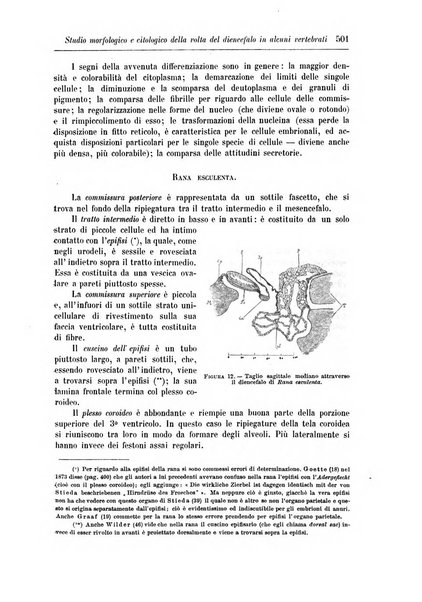 Rivista di patologia nervosa e mentale