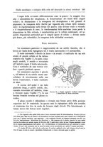 giornale/CFI0298588/1897/unico/00000559