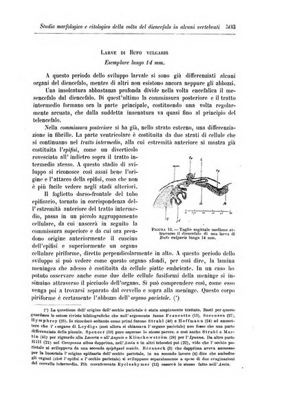 Rivista di patologia nervosa e mentale